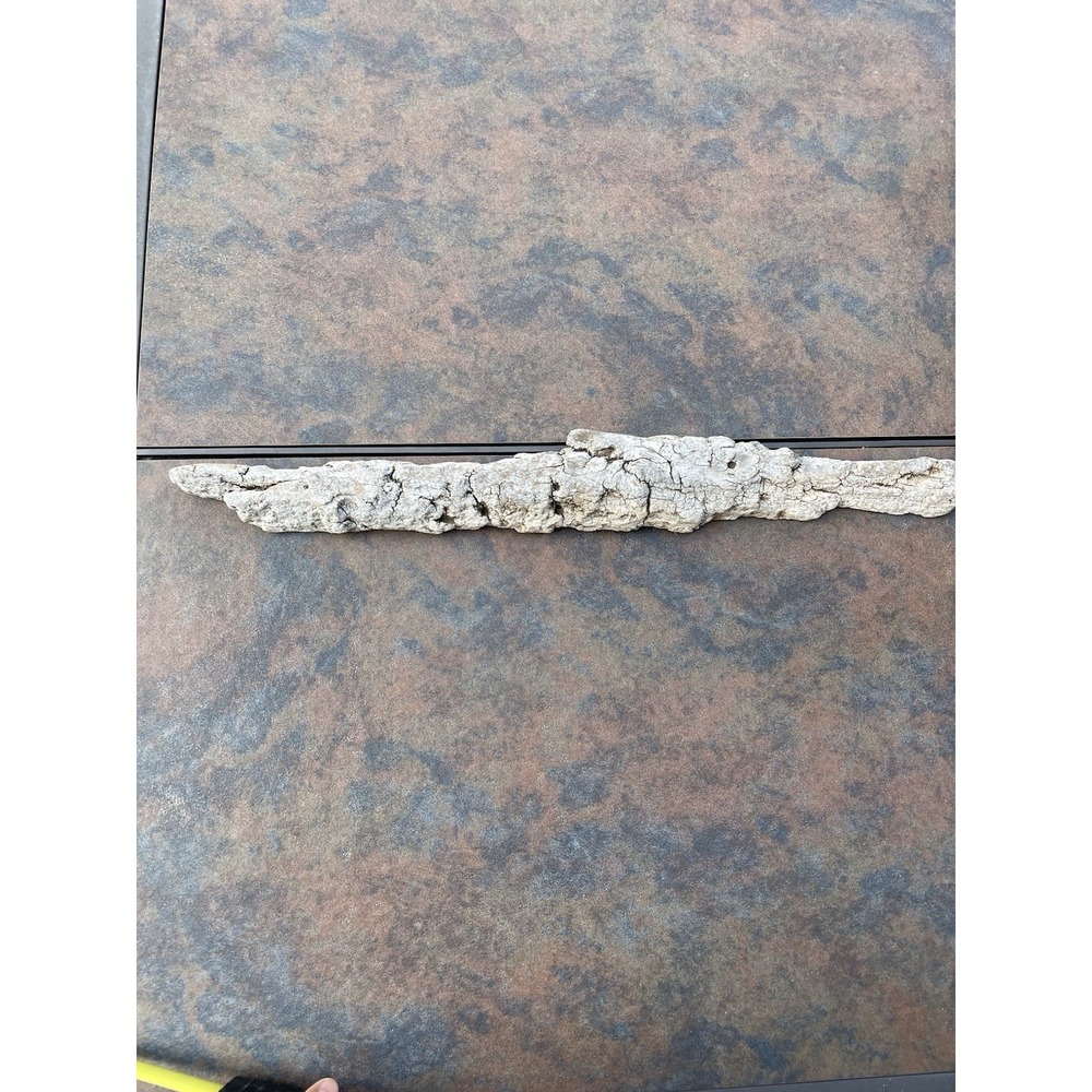 Natural Driftwood for Plants Terrarium Taxidermy Art Projects